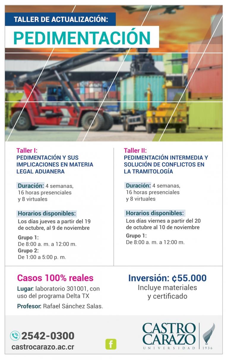 Taller Pedimentación